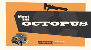 Meet the Octopus