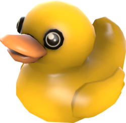 Duck_Journal